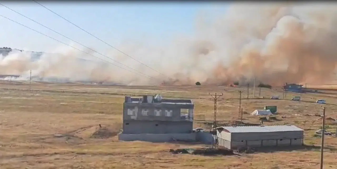 Mardin'de 120 dönüm arpa ekili arazi yandı