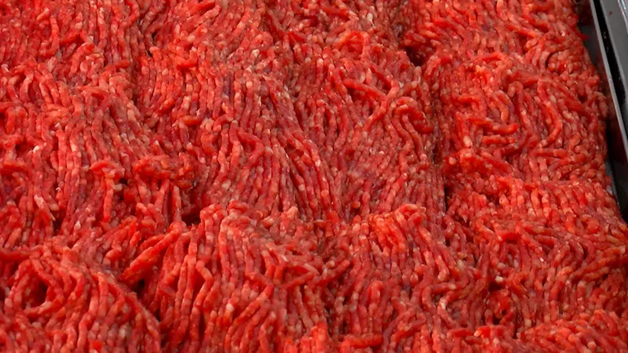 İstanbul - Kırmızı et fiyatlarında düşüşe neden olan ithalat yıl sonuna kadar sürecek