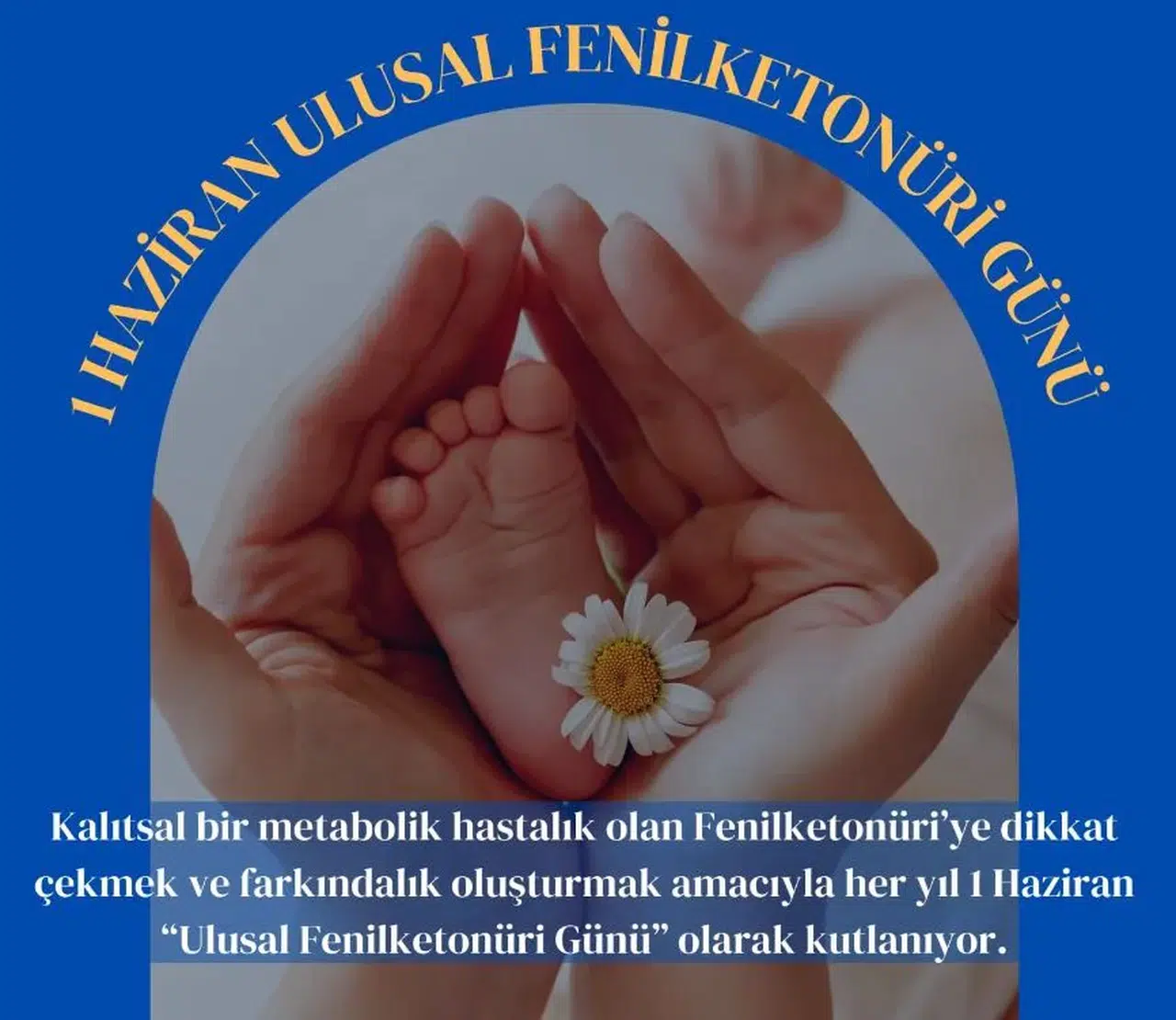 Yenidoğan Sağlığı için Trabzon'da Fenilketonüri Taraması Etkinlikleri Düzenlendi