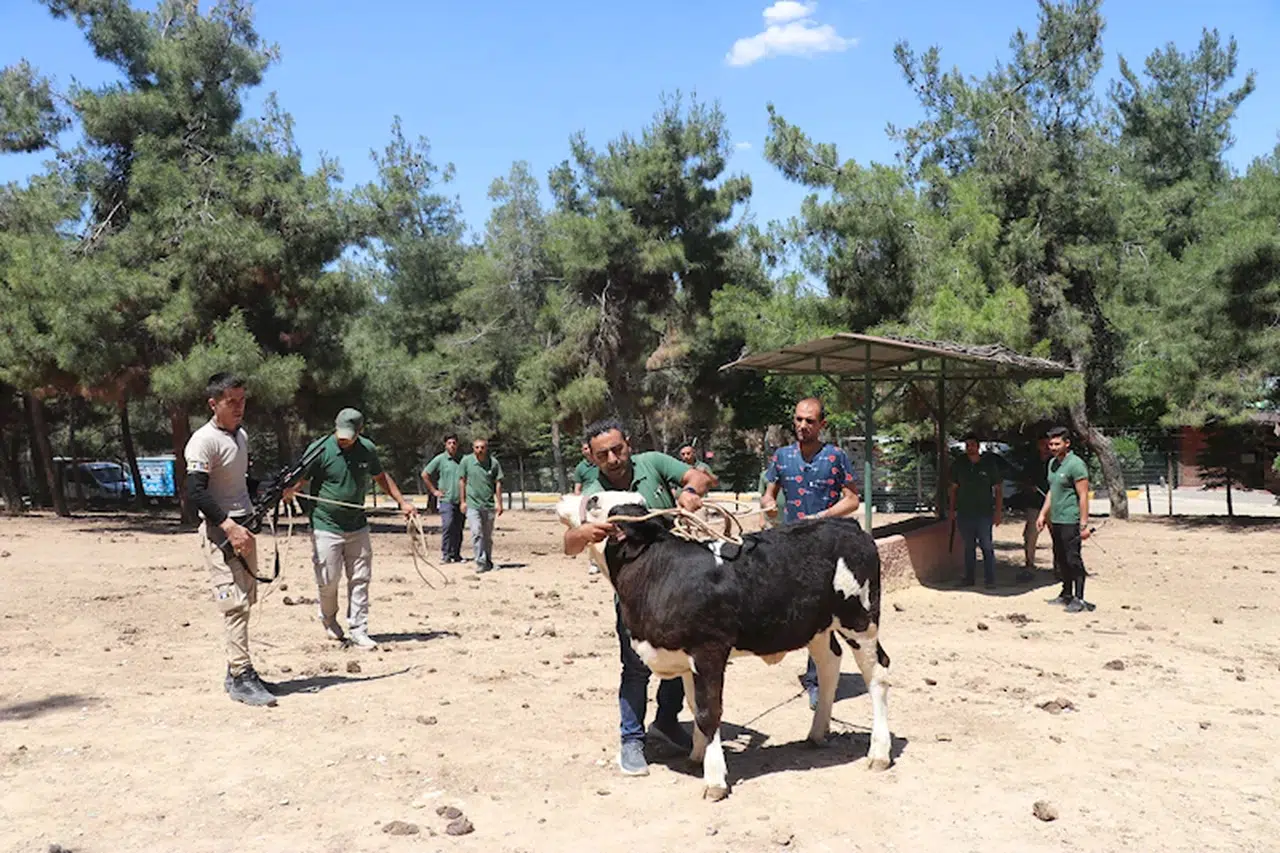 Gaziantep'te 'Kurban Yakalama Timi' son tatbikatını gerçekleştirdi