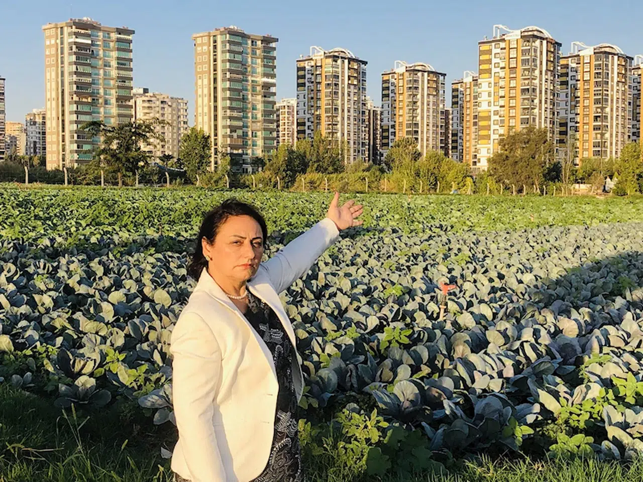 Çiftçiyi, önce yağmur, dolu, şimdi de aşırı sıcak vurdu