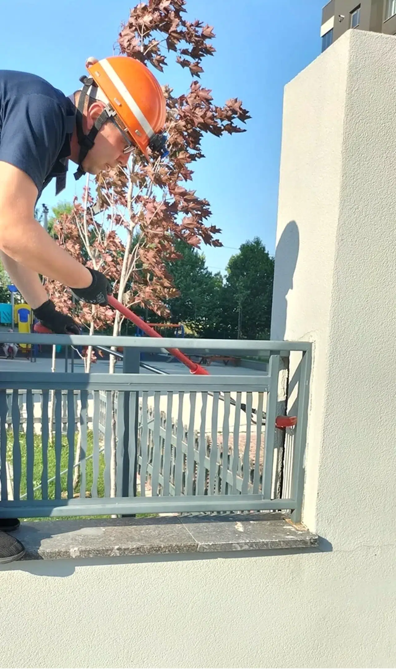 Bolu'da site içinde yakalanan yılan doğaya salındı