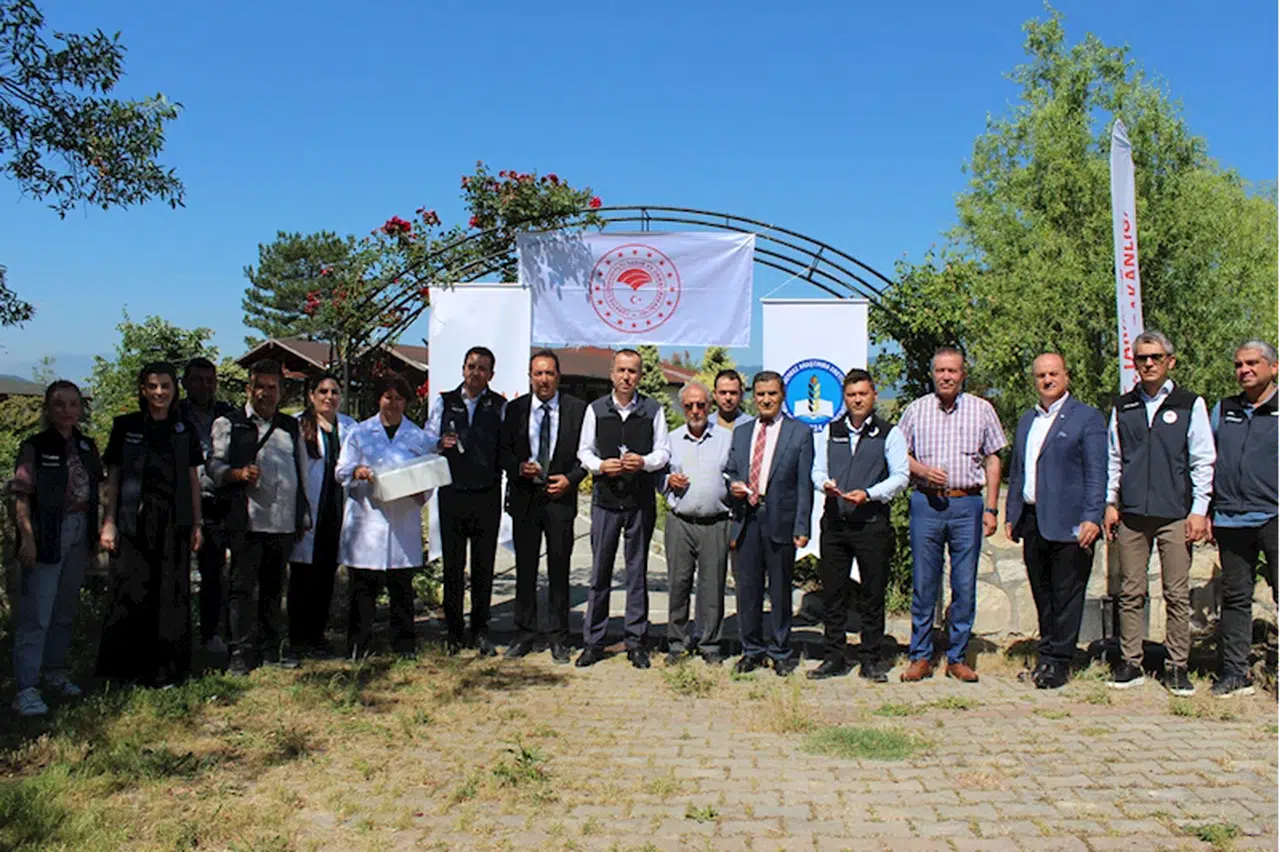 Bartın ve Karabük'te kahverengi kokarca zararlısına karşı 4 bin samuray arısı salındı