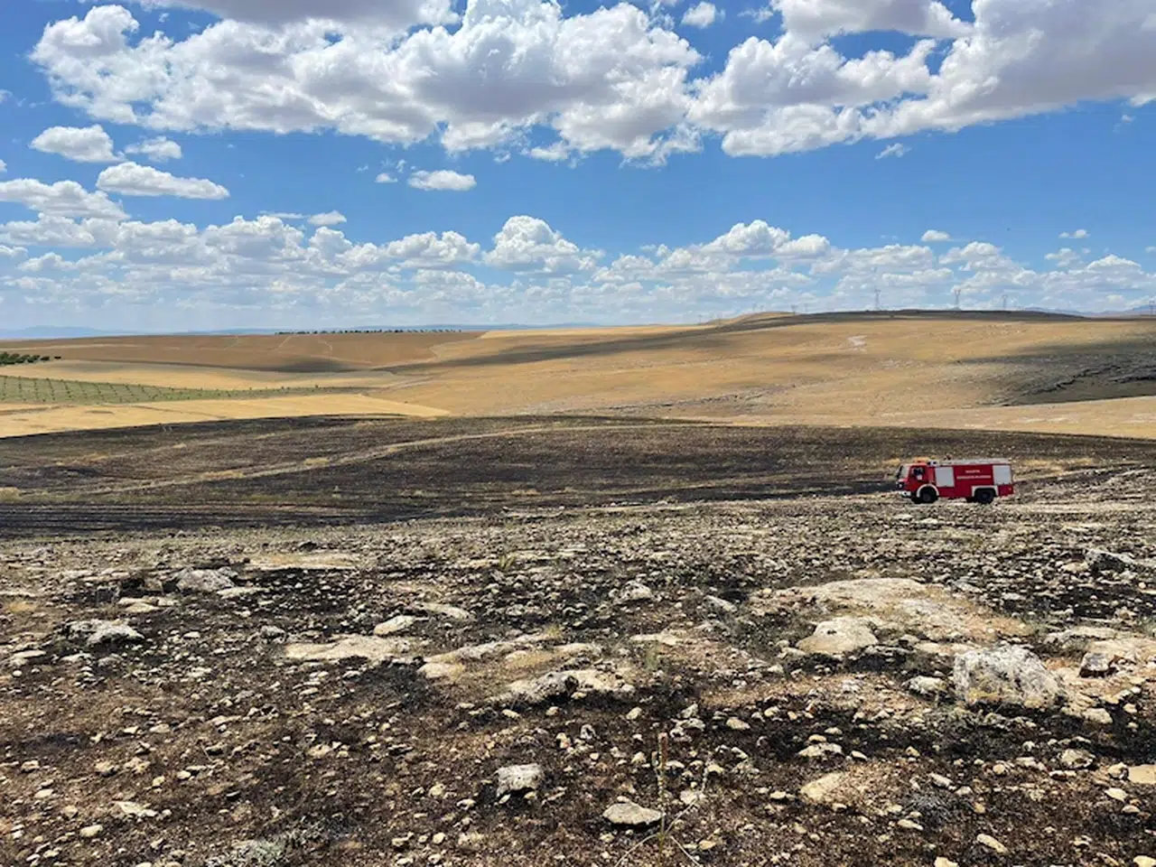 Malatya'da yangın; 40 dönüm arpa kül oldu
