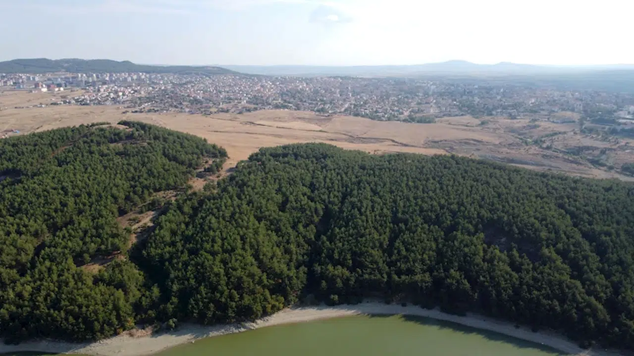 Edirne'de ormanlara girişler 15 Ekim'e kadar yasaklandı