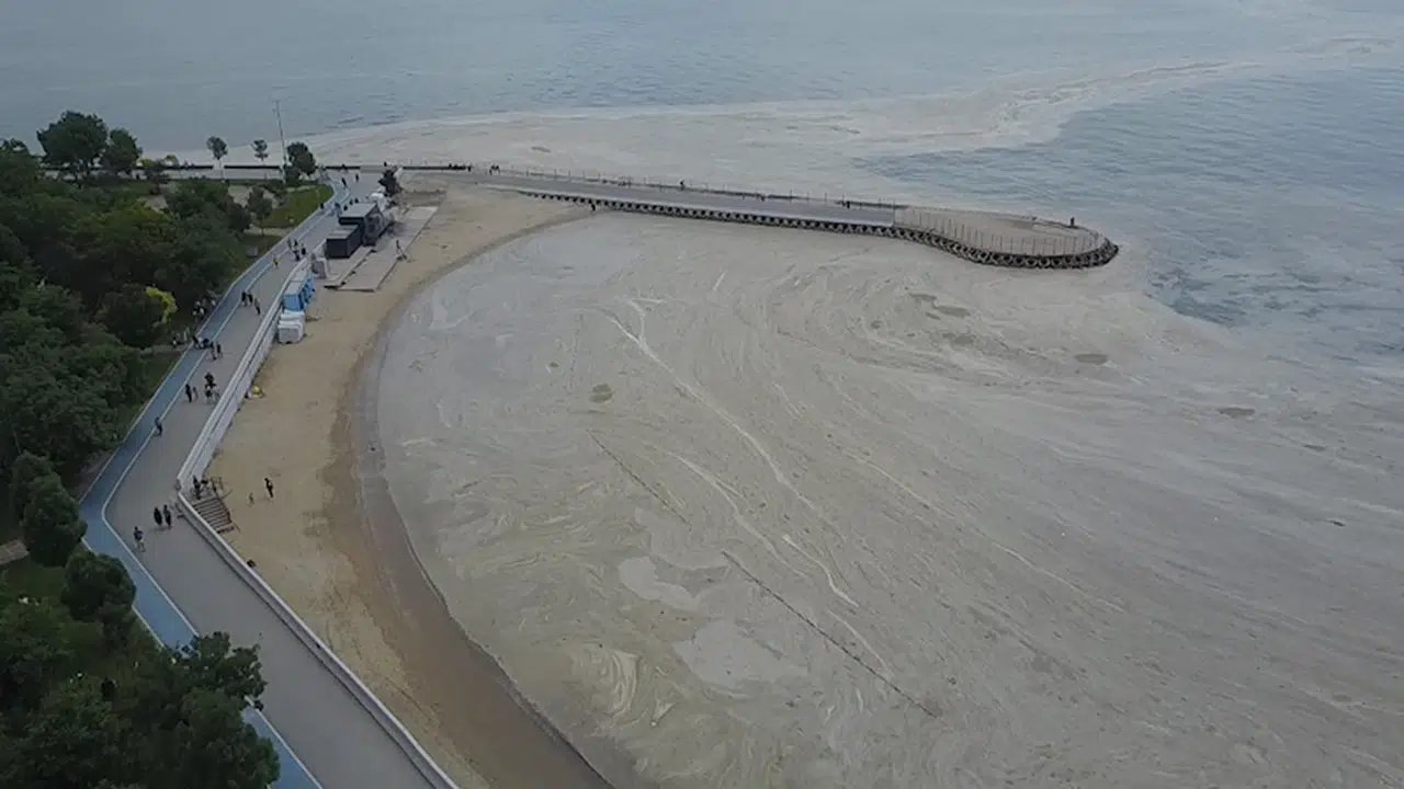 İstanbul- 'Marmara'da müsilaj, bu yaz olası değil'