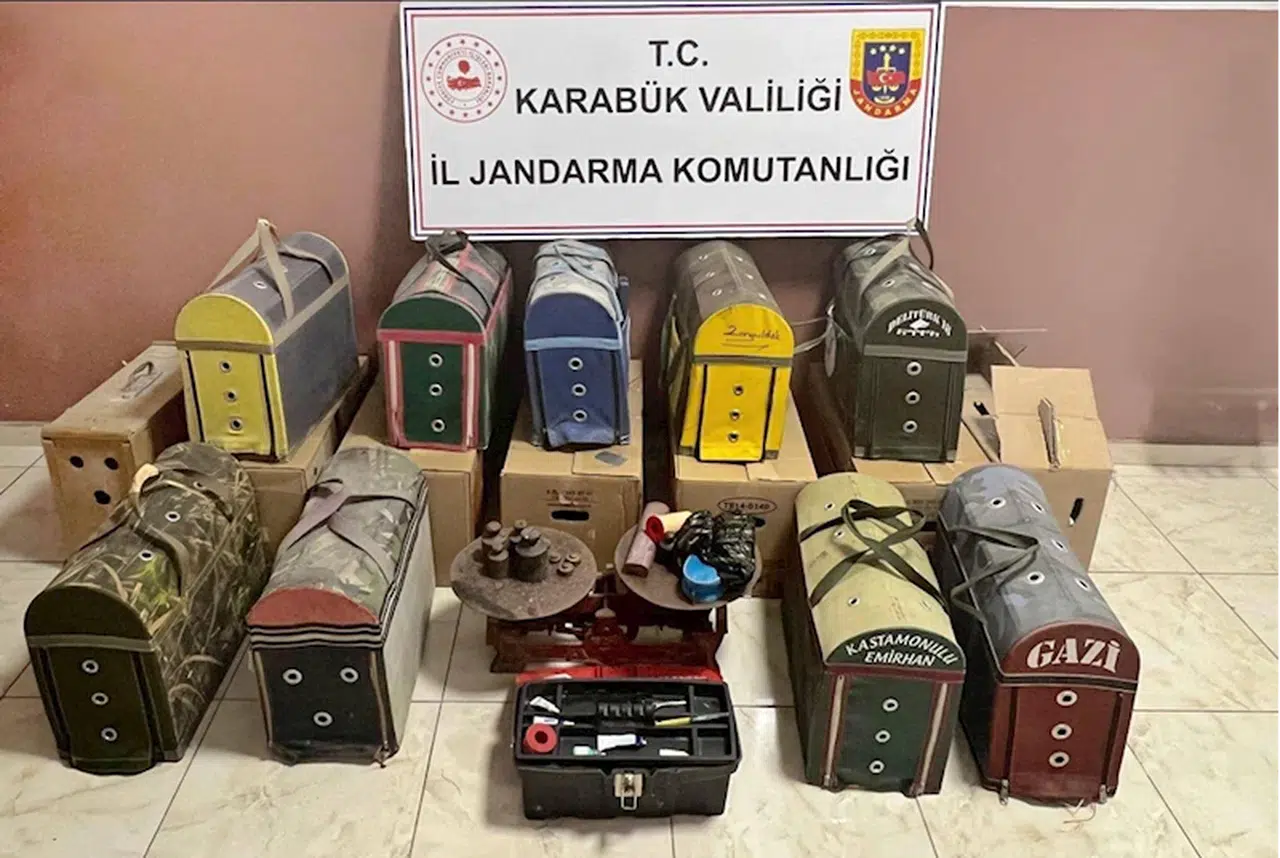 Karabük'te horoz dövüştürdükleri iddiasıyla 16 şüpheli yakalandı