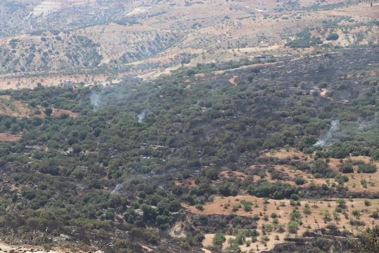 Gaziantep'te fıstık ve zeytin ağaçları bulunan arazide yangın; 6 saatte söndürüldü