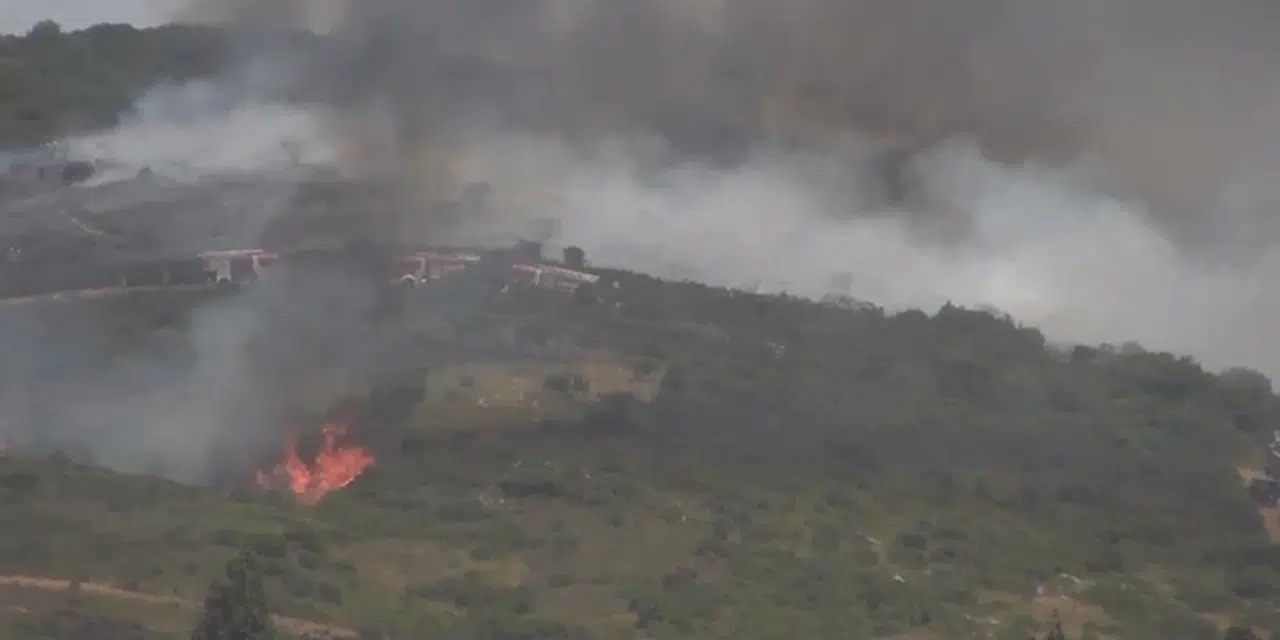 İstanbul - Tuzla Piyade Okulu'nda çalılık alanda çıkan yangın söndürüldü 