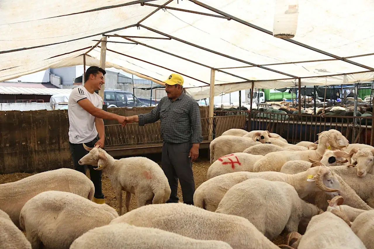 Bornova'da bayram tedbirleri tamam