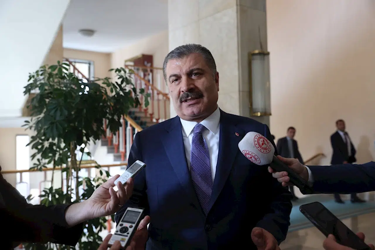 Bakan Koca'dan sokak köpeklerine ilişkin açıklama: Gönlüm ötanaziden taraf değil