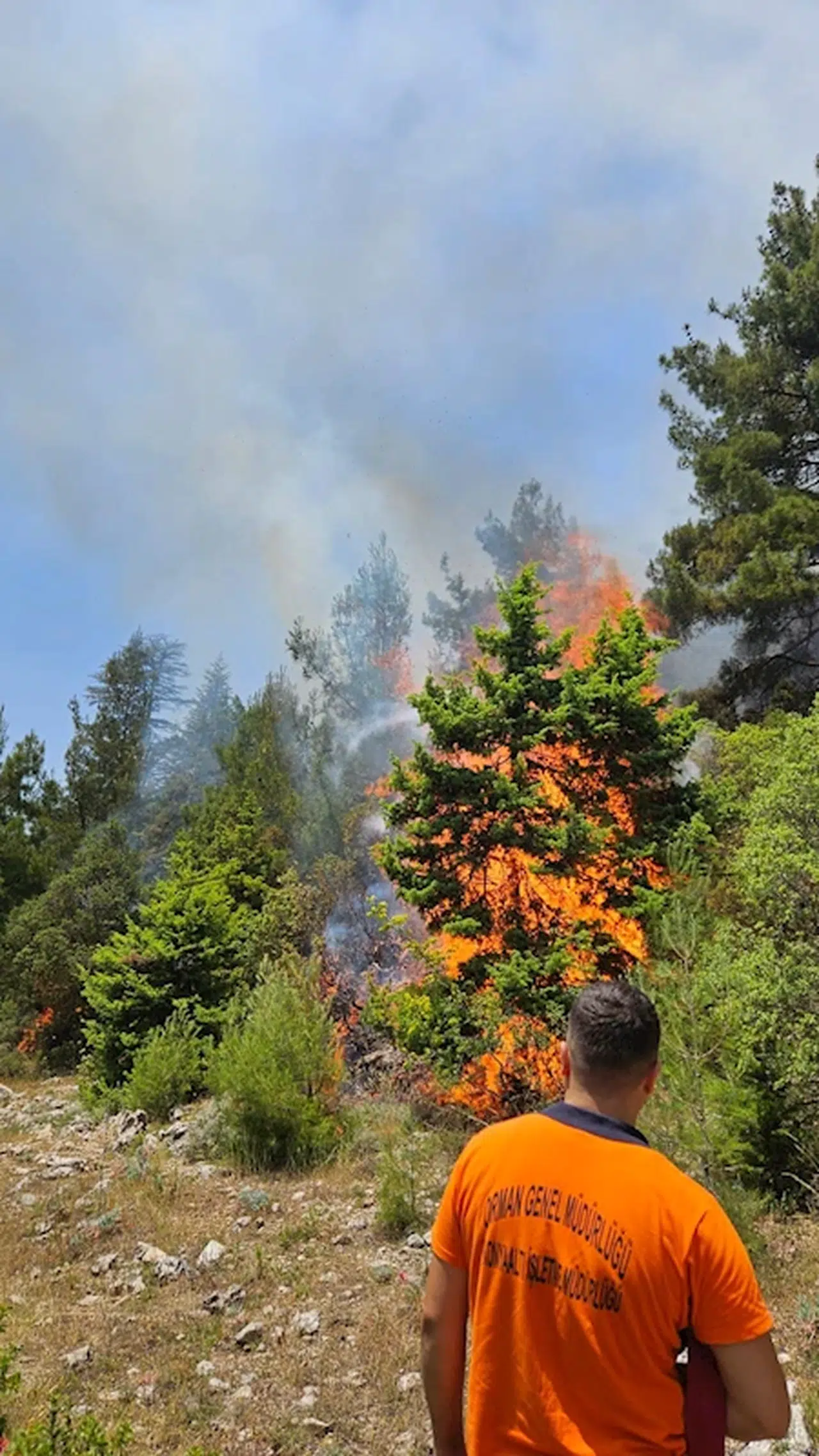 Kemer'de orman yangını büyümeden söndürüldü