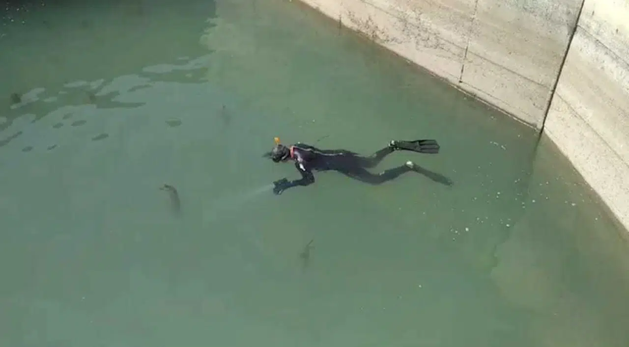 Batman'da kayıp çoban, 54 kilometrelik alanda 81 kişiyle aranıyor