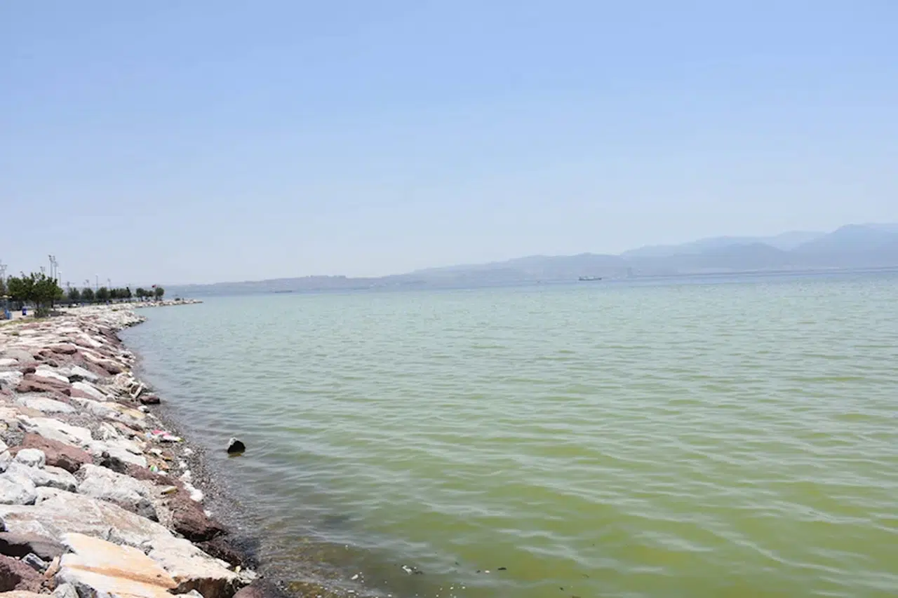 İzmir'de denizin rengi değişti
