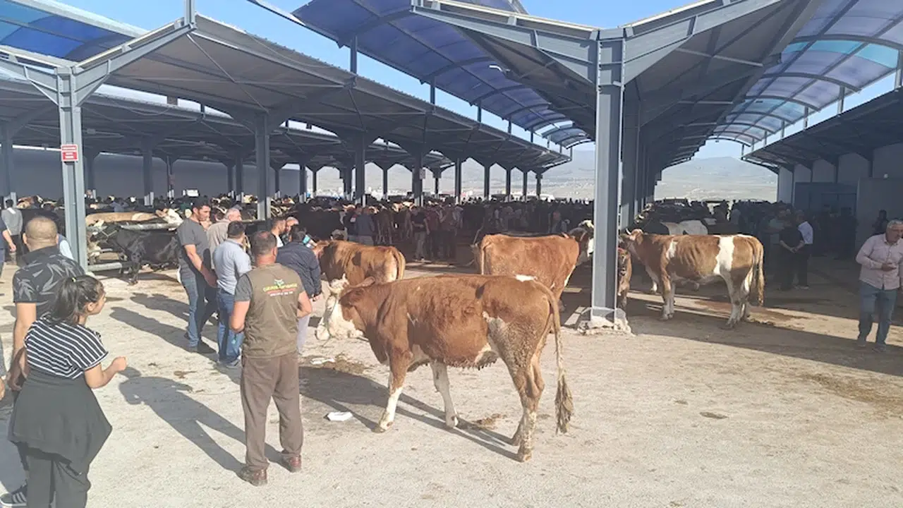 Niğde'de kurban pazarları doldu