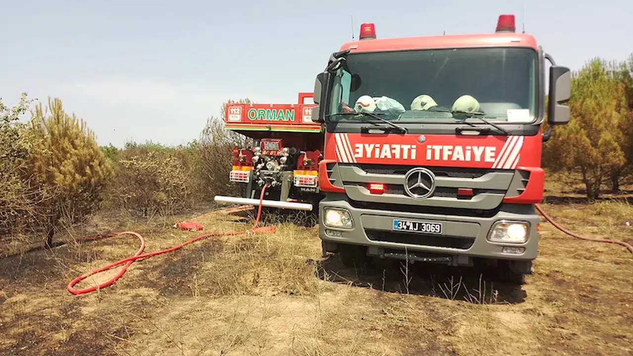 İstanbul- Silivri'de orman yangını 