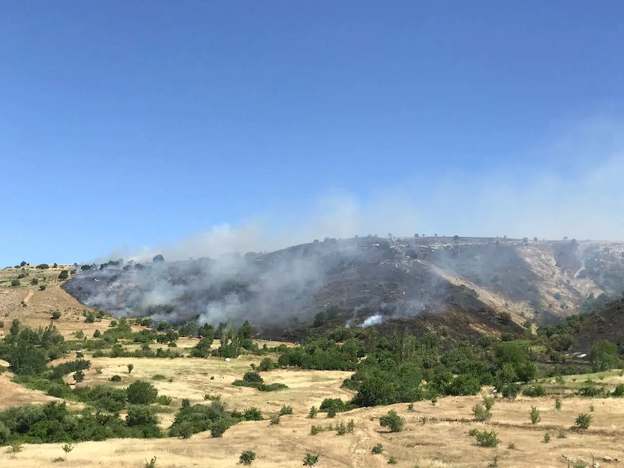 Diyarbakır'da 5 saatte söndürülen örtü yangınında 150 hektar alan zarar gördü