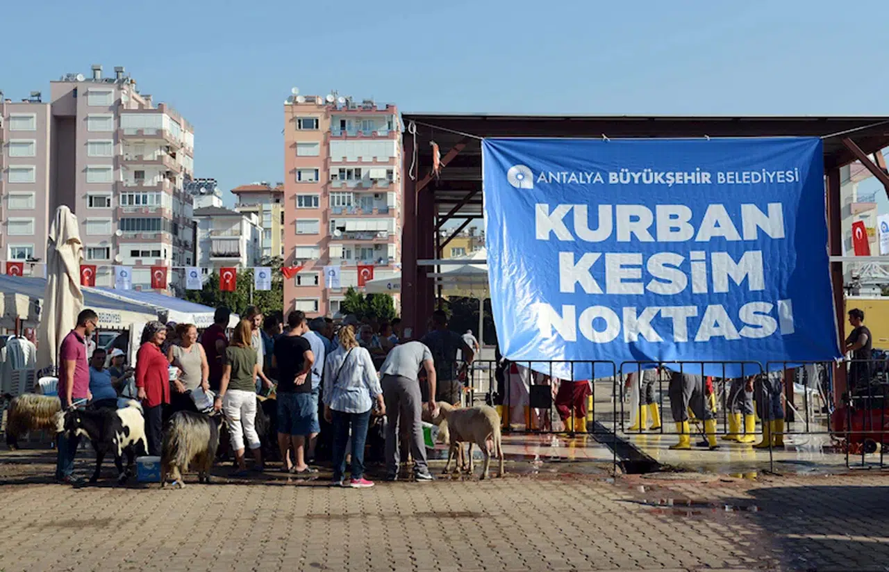 Büyükşehir'den üç noktada ücretsiz kurban kesimi