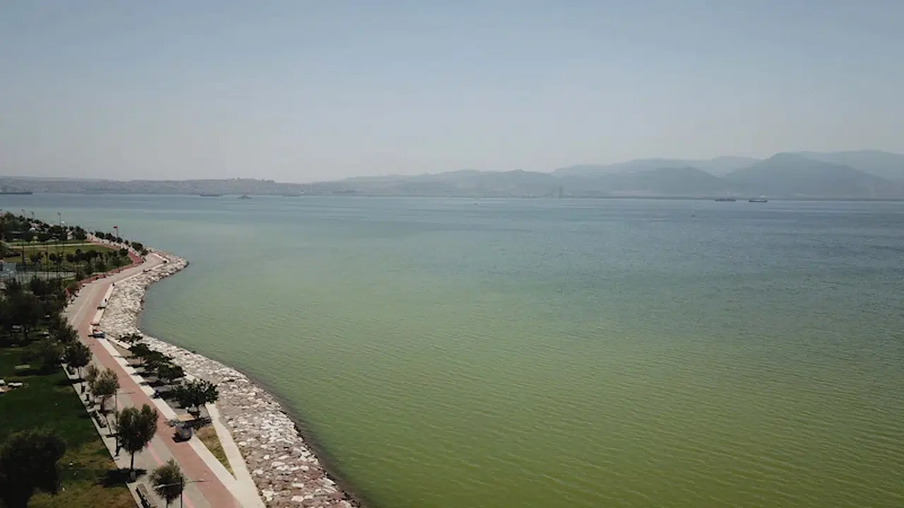 İzmir'de denizin rengi değişti / Ek Fotoğraflar