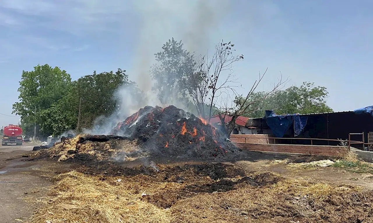 Çiftlikteki yangında 1000 ot balyası yandı 