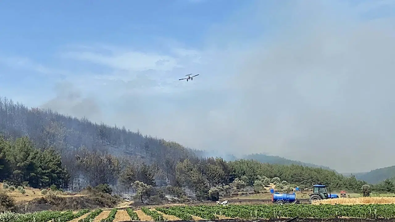 Çanakkale'de orman yangını/Ek Fotoğraflar