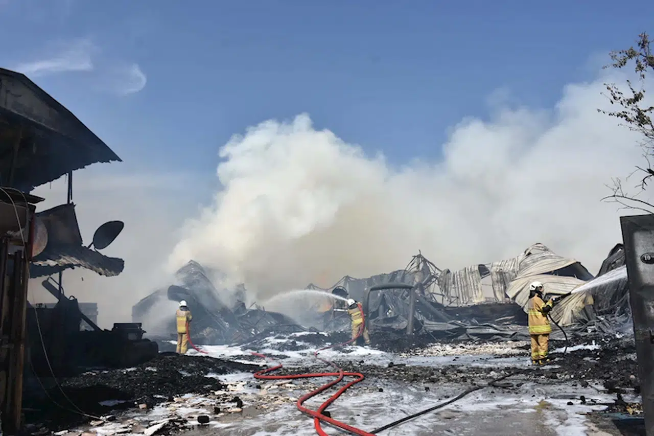 İzmir'de ot yangını fabrikaya sıçradı (2)