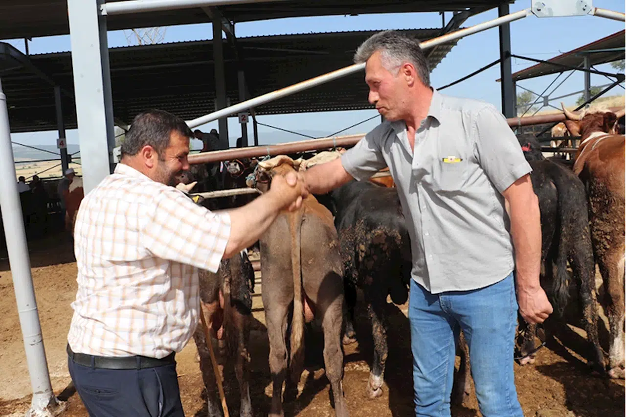 Havza'da kurban pazarı kuruldu