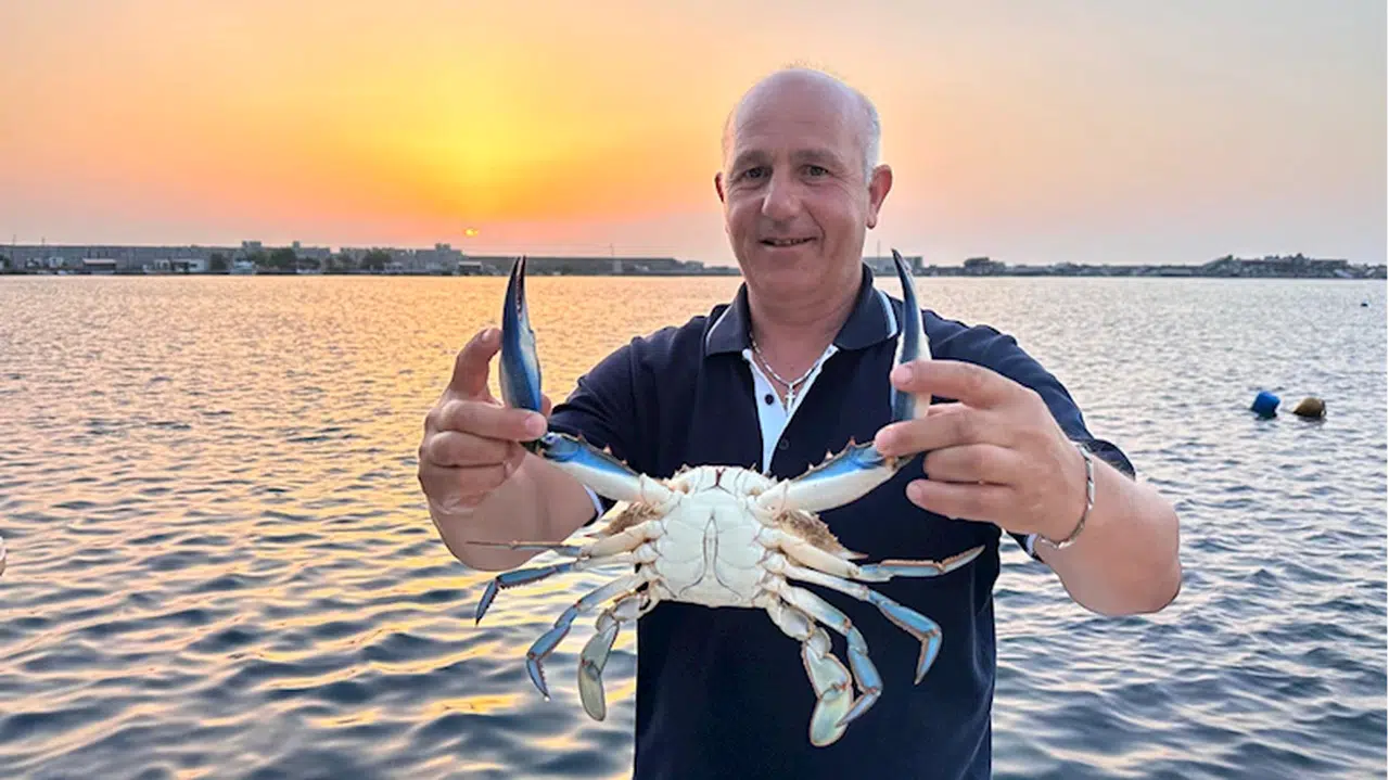 Kastamonulu balıkçının ağına "mavi yengeç" takıldı