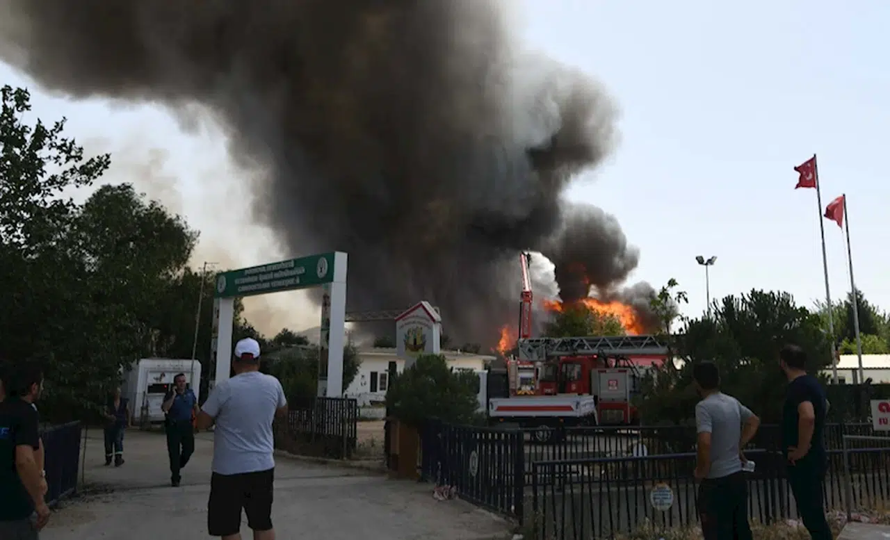 İzmir'de ot yangını fabrikaya sıçradı (3)