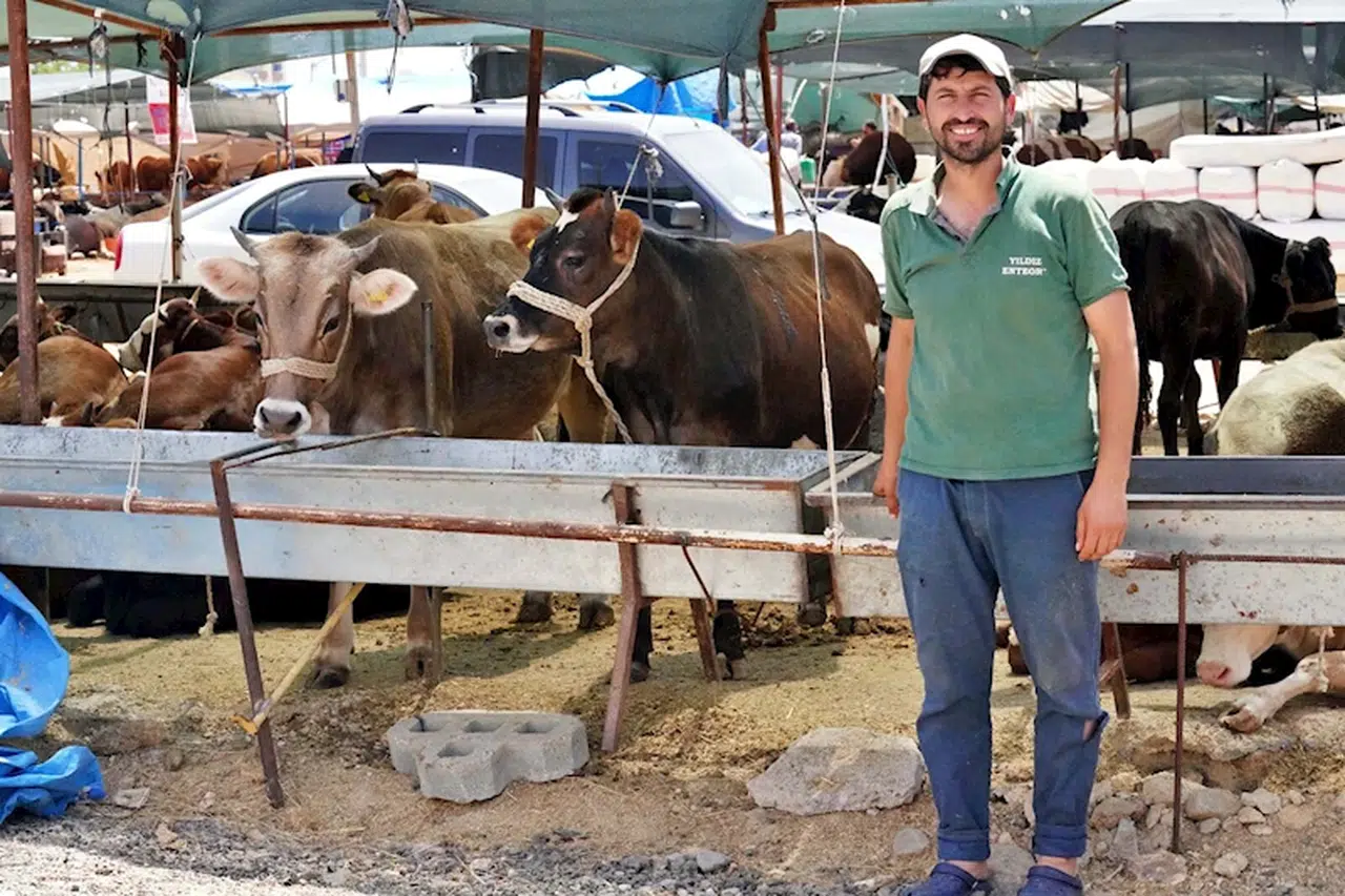 İzmir Kurban Bayramı'na hazır
