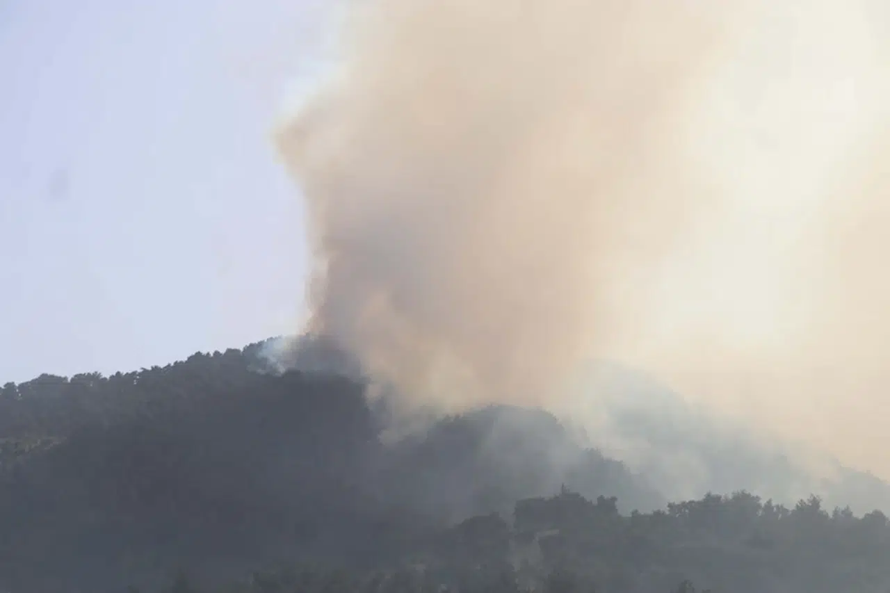 Denizli'de orman yangını (2)