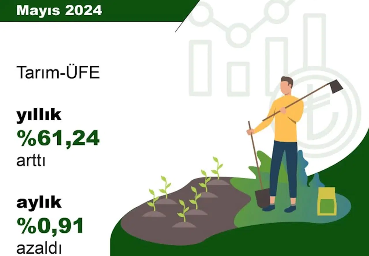 Tarım ürünleri üretici fiyatları aylık yüzde 0,91 azaldı
