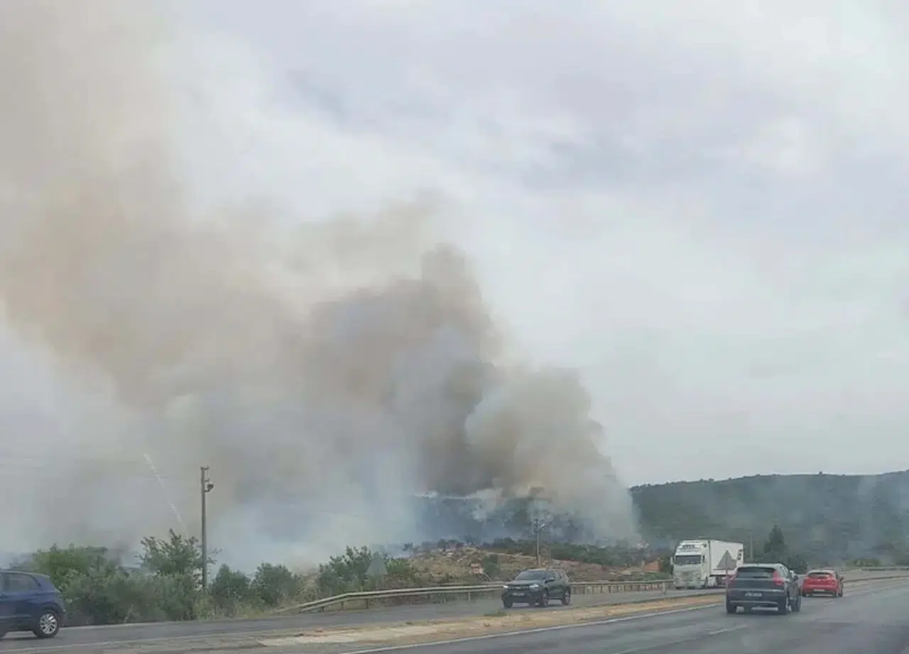 Aydın'da makilik yangını