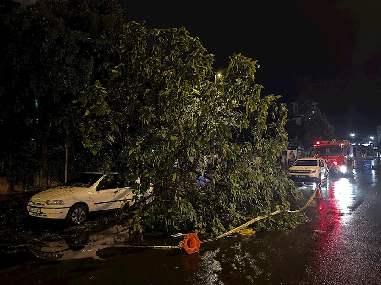 Kayseri'de şiddetli rüzgar; ağaçlar devrildi, çatılar uçtu