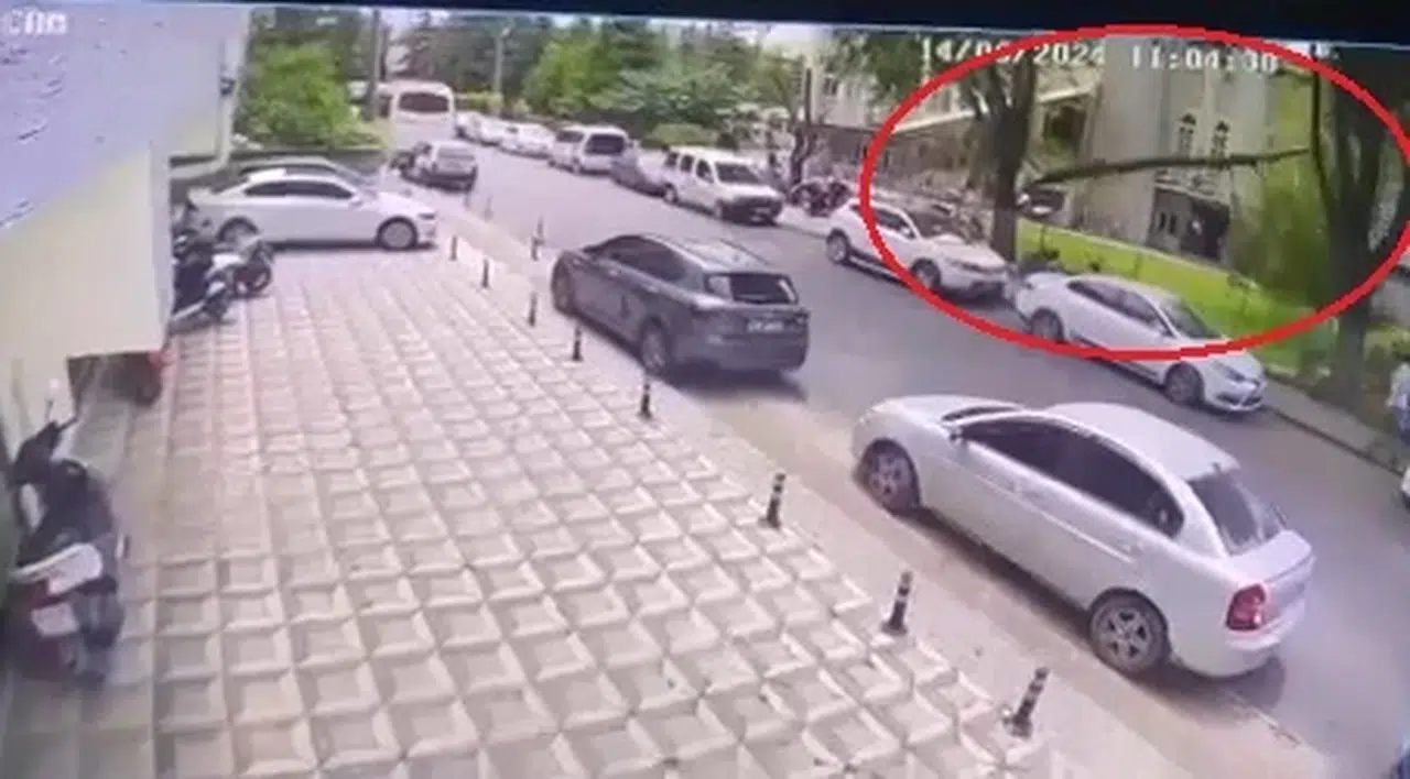 Bursa'da rüzgarda cami bahçesindeki ağacın dalı kırıldı; altında kalan 1 kişi yaralandı