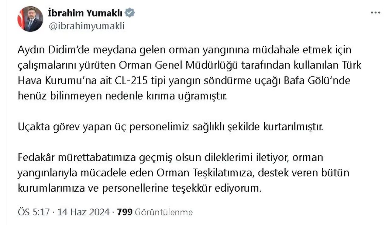 Aydın'da yangın söndürme uçağının burun kısmı su aldığı Bafa Gölü'ne battı; 3 personel kurtarıldı (2)