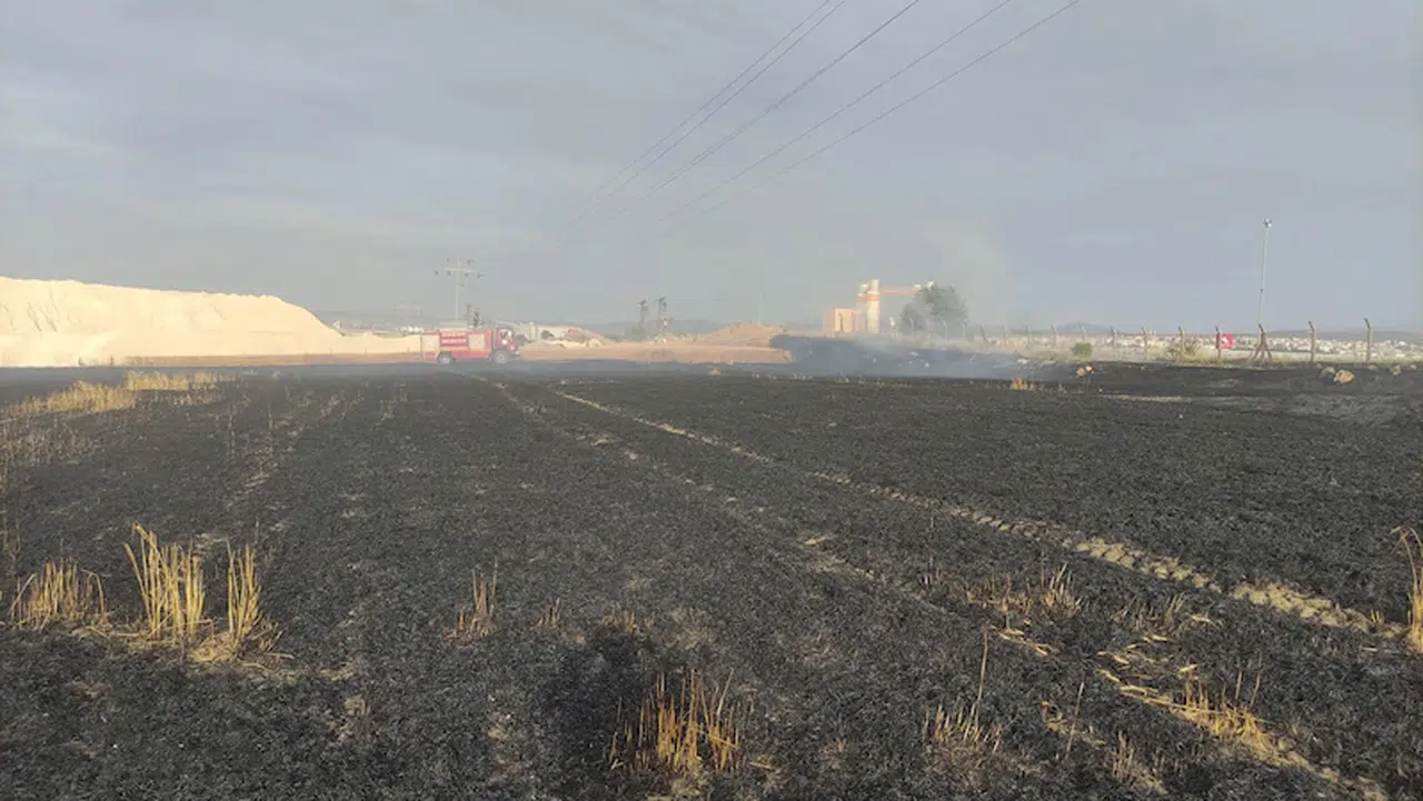 Edirne’de 2 tarlada çıkan yangında 16 dönüm buğday ekili alan zarar gördü