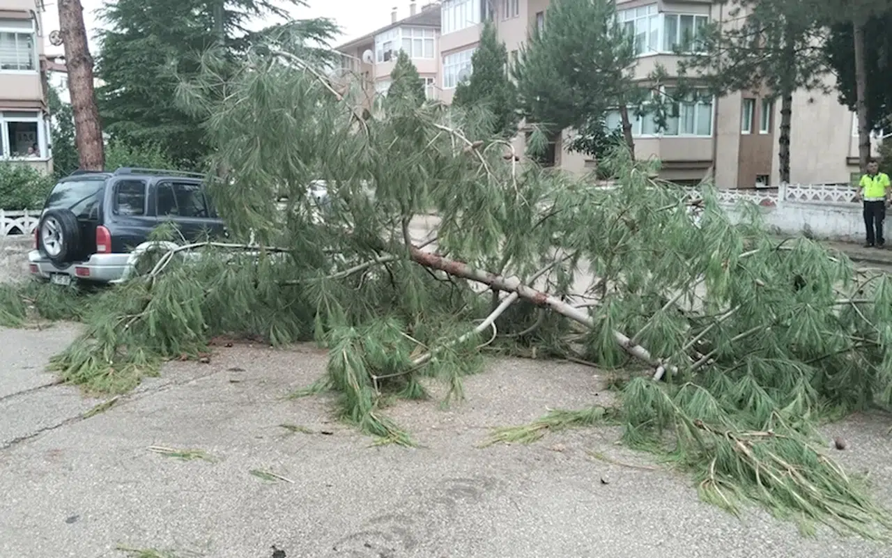 Karabük'te kuvvetli rüzgar hayatı olumsuz etkiledi