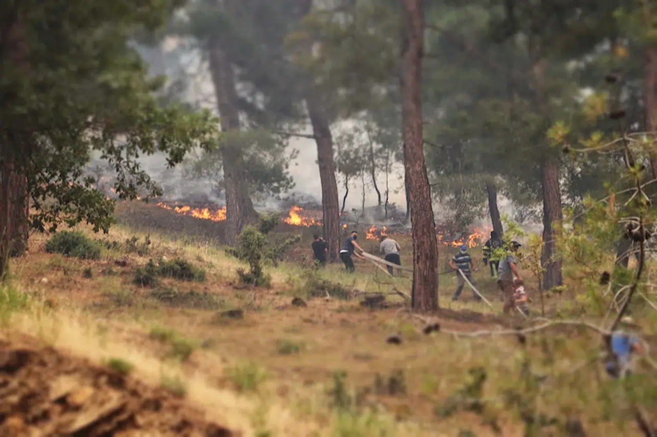 Denizli'de orman yangını /Ek Fotoğraflar