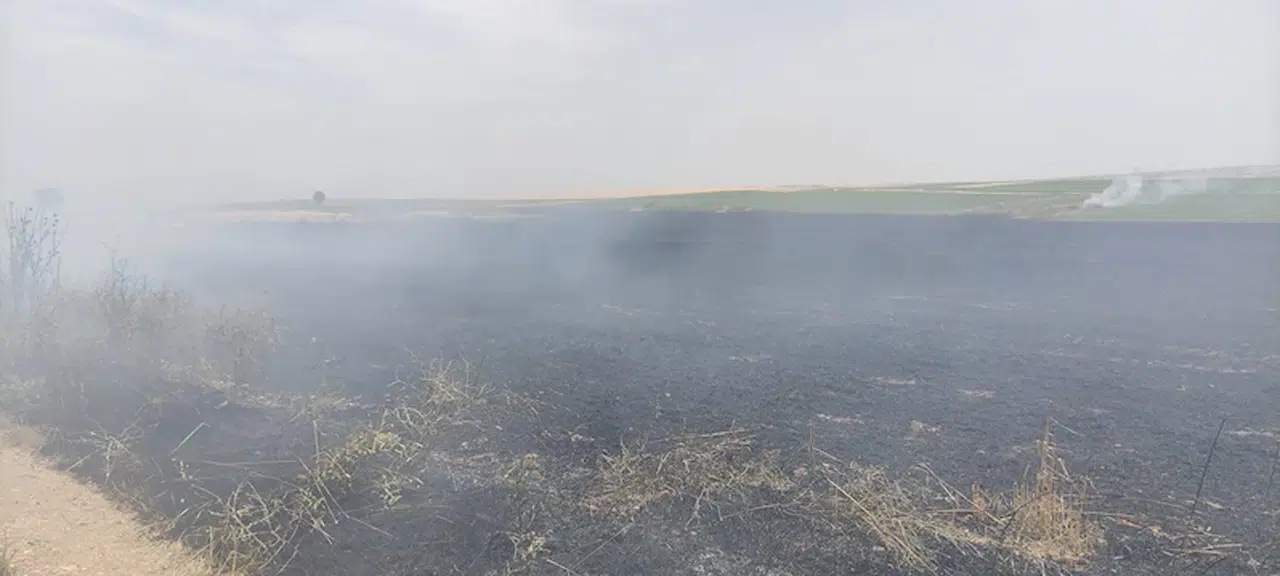 Edirne’de 350 dönüm buğday ekili alan yandı 