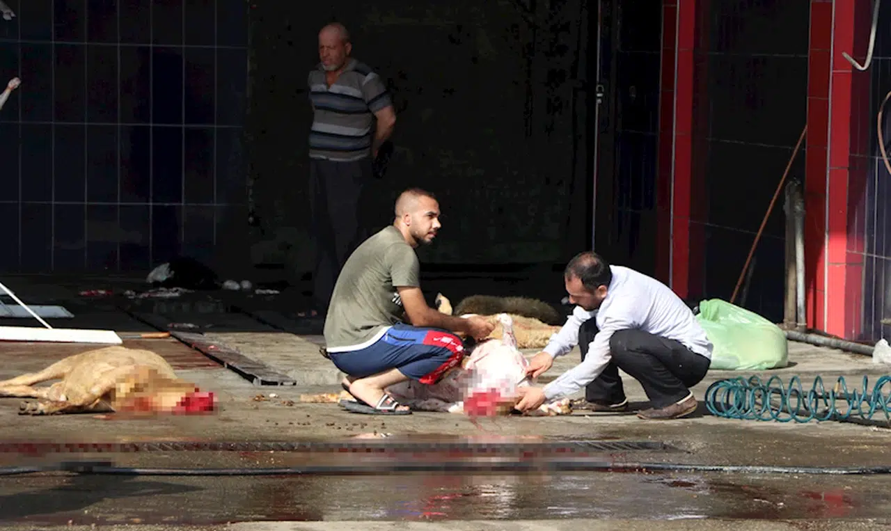 'Sokakta kesilen kurbanlığın etinde strese bağlı bozulma olabilir'