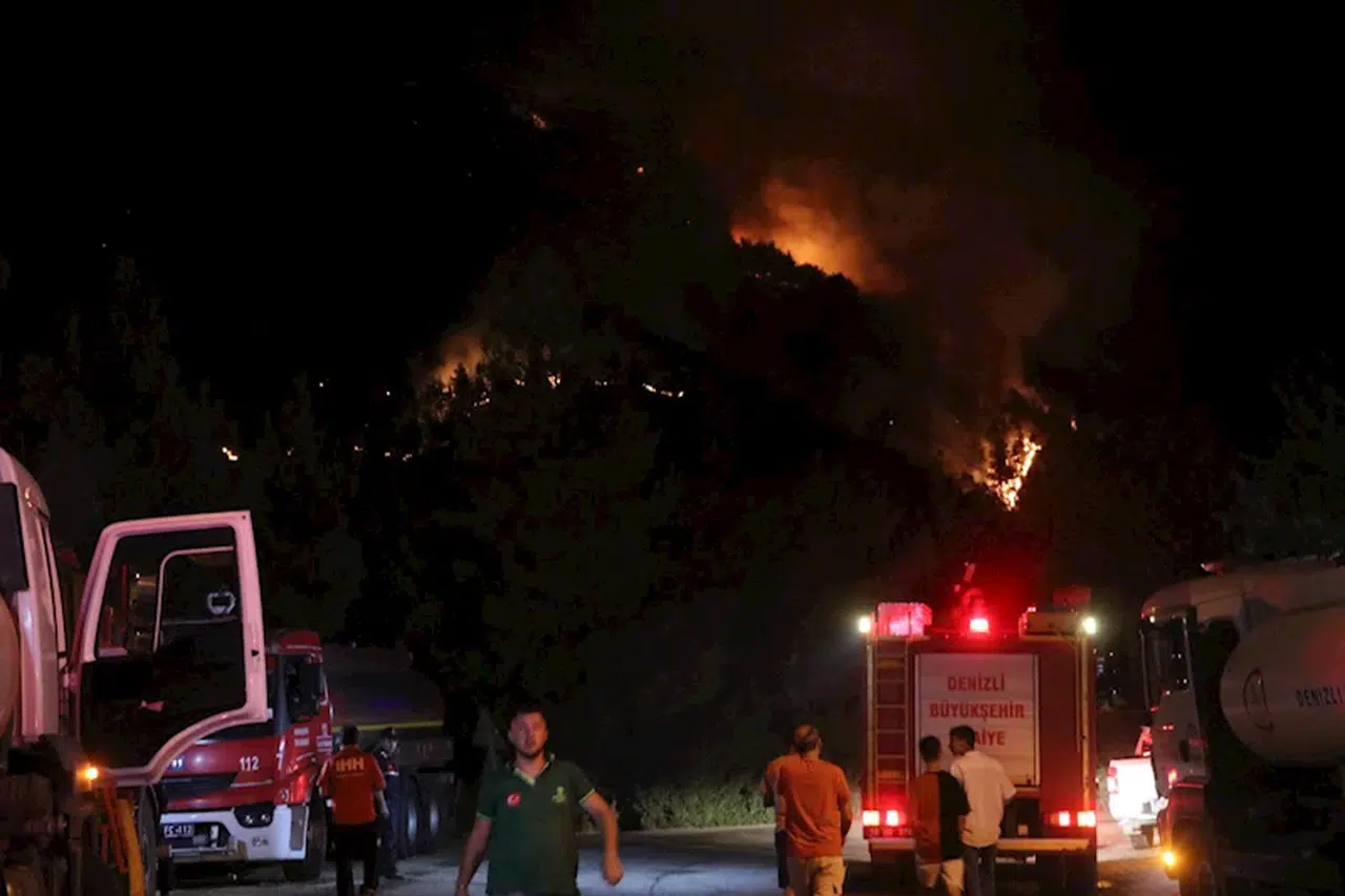 Denizli'de orman yangını (3)