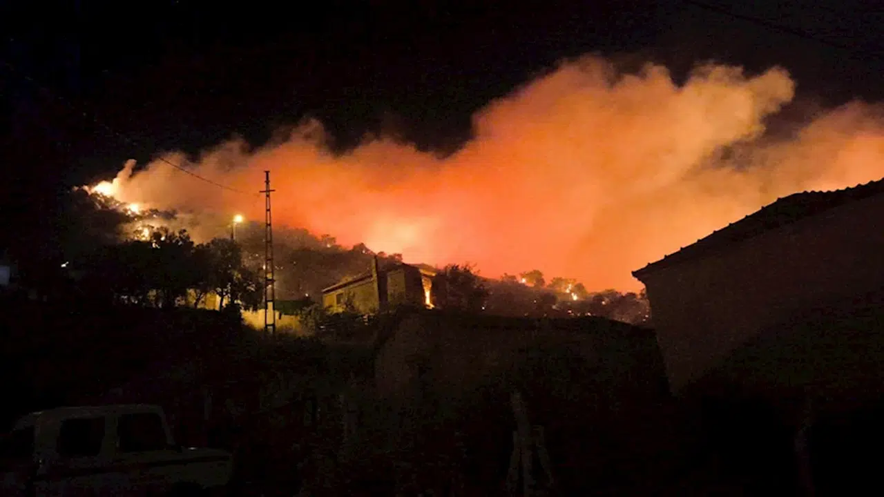 İzmir'de zeytinlik yangını söndürüldü; orman işçisi dönüş yolunda kazada öldü