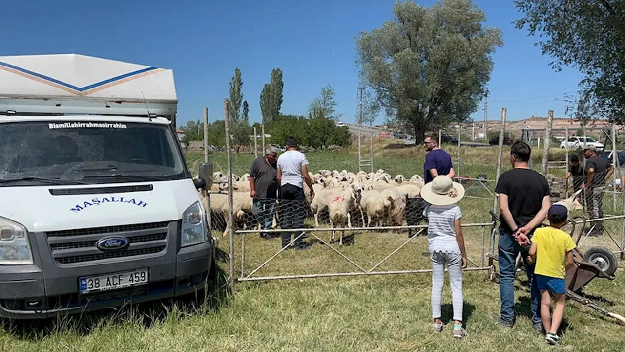 Kurbanlıkların satışından elde ettiği 535 bin TL  çalındı