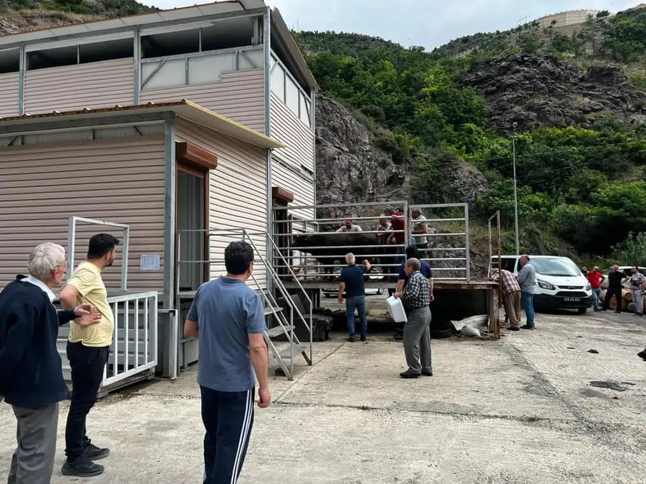 Artvin Belediyesi'nden Modern ve Hijyenik Kurban Kesim Hizmeti