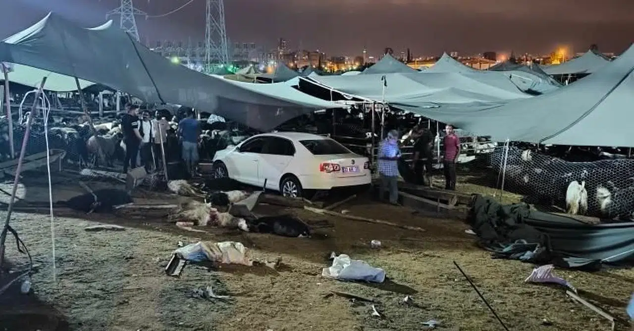 Mersin'de otomobil hayvan pazarına girdi: 2'si ağır 8 yaralı, 7 kurbanlık öldü