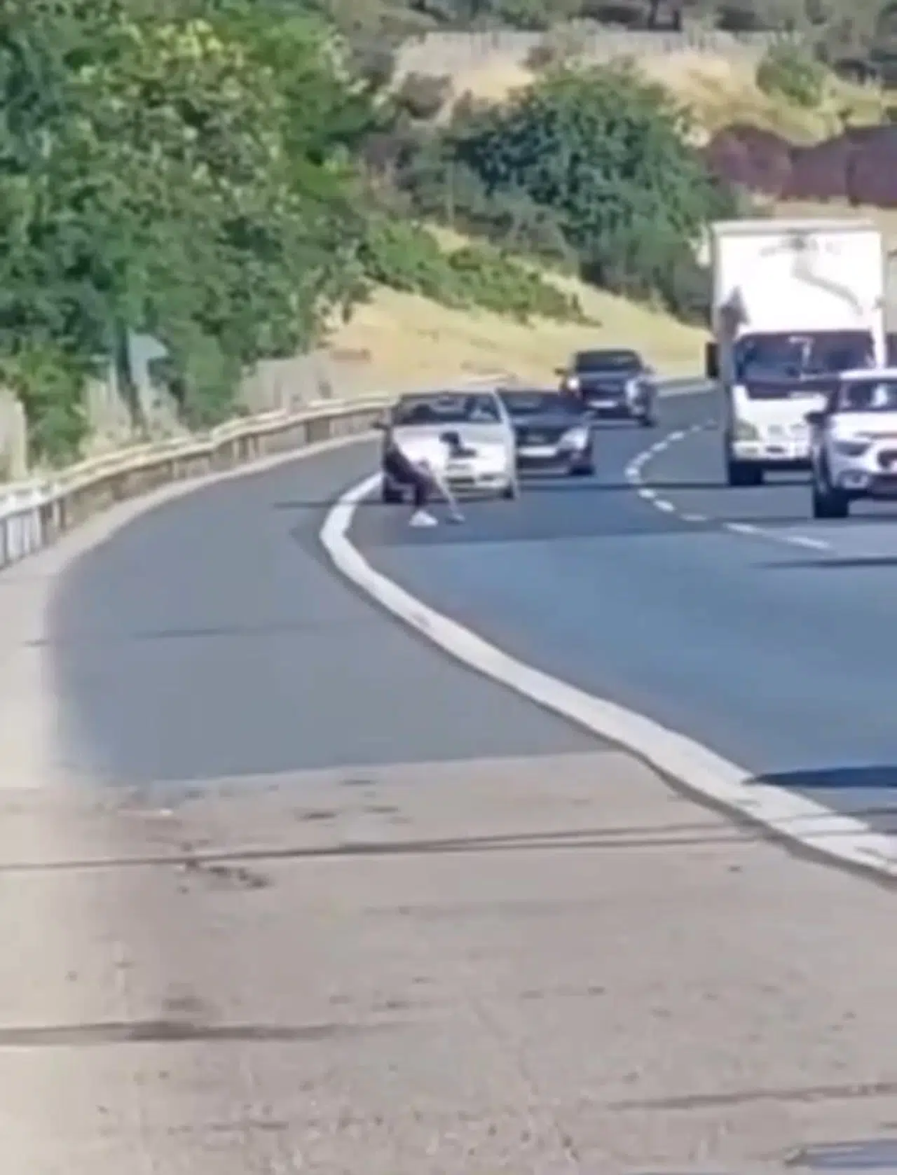 İstanbul - Beykoz'da metrelerce koştu; araçları durdurarak yoldaki kaplumbağayı ezilmekten kurtardı