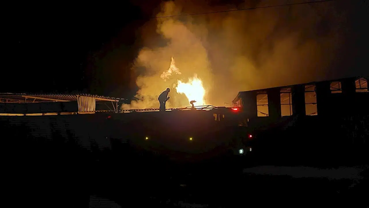 Adana'da palet fabrikasında yangın 