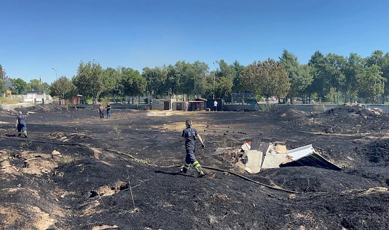 Sokak hayvanları besleme alanında yangın; 30 kulübe yandı