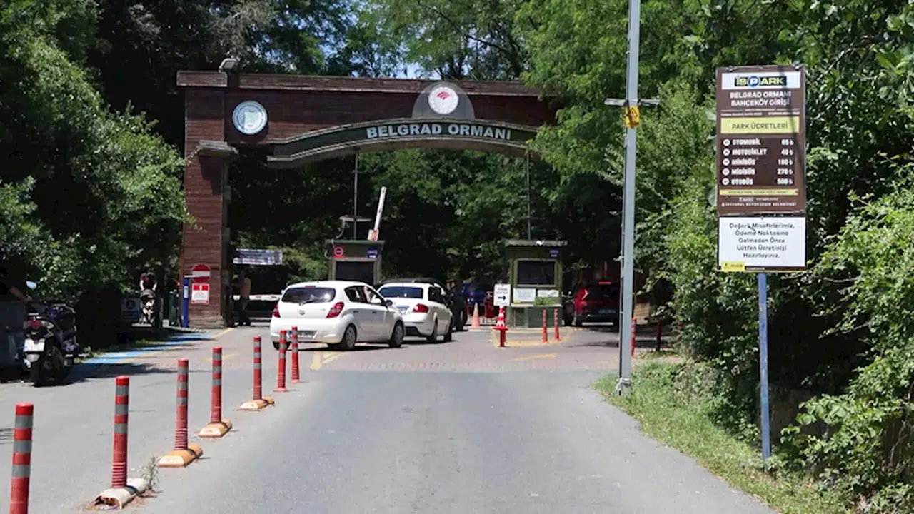 İstanbul- Kurban Bayramı'nda İstanbul'da kalanlar piknik alanlarına akın etti